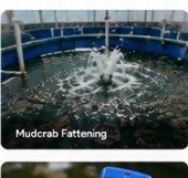Quality Products