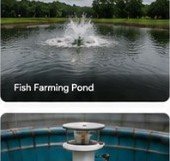 Fish farming