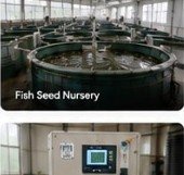 Fish seed nursery